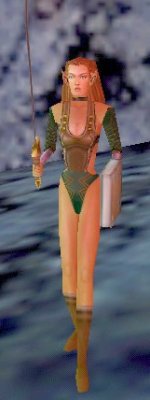 Waywatcher