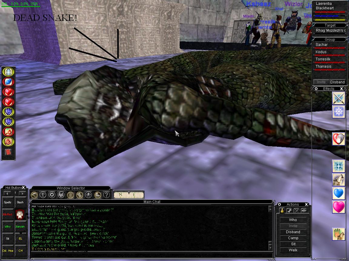 Dead snake :)