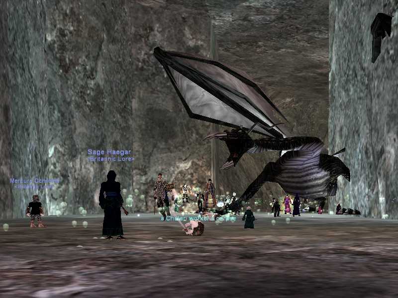 In the Dragons Lair
