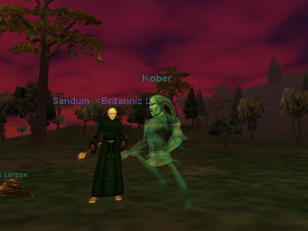 Nice pet!