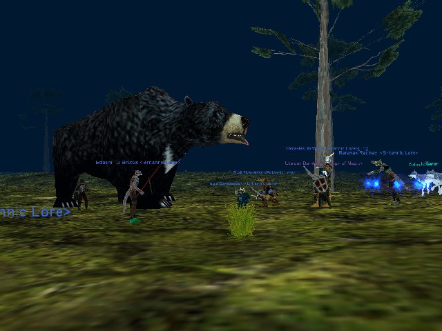 Big bear!