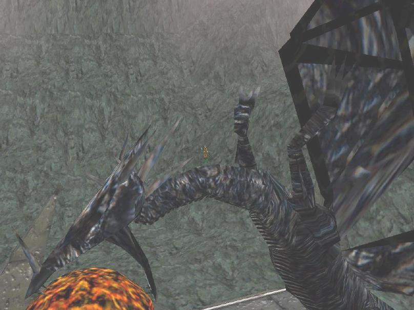 Dragon riders of Norrath